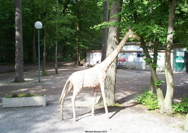 Waldgaststatte Zum Vogelpark