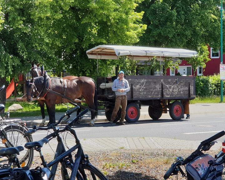 Gasthof Grune Eiche